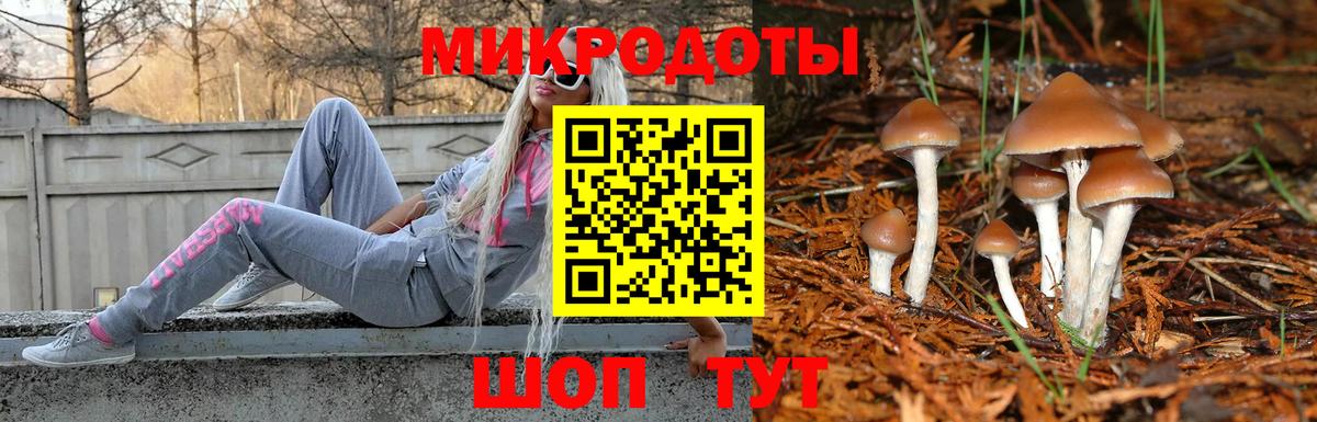 Чусовой  Псилоцибиновые грибы MAGIC MUSHROOMS  Вход с VPN 